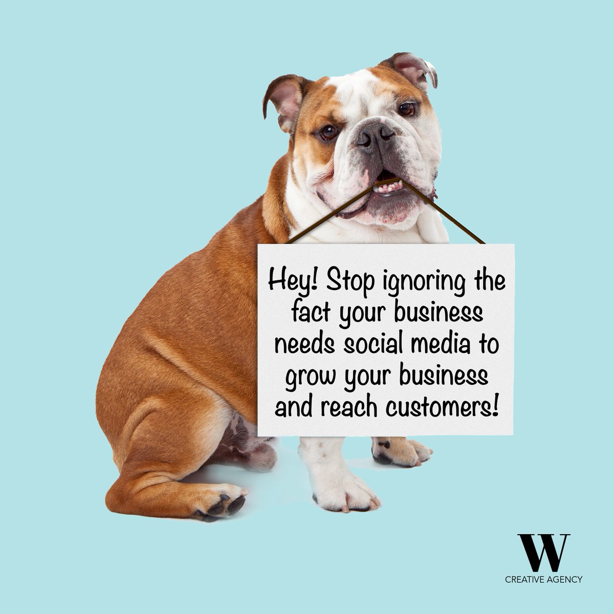 WCreativeAgency's tweet photo. Did you know 89% of consumers will buy from a company or brand they follow? If that isn't enough for you, it was also reported that 75% of consumers will increase their spend with a company or brand. 

Is it time for you to build that social media plan? #socialmediamarketing https://t.co/duFxtyVFJS