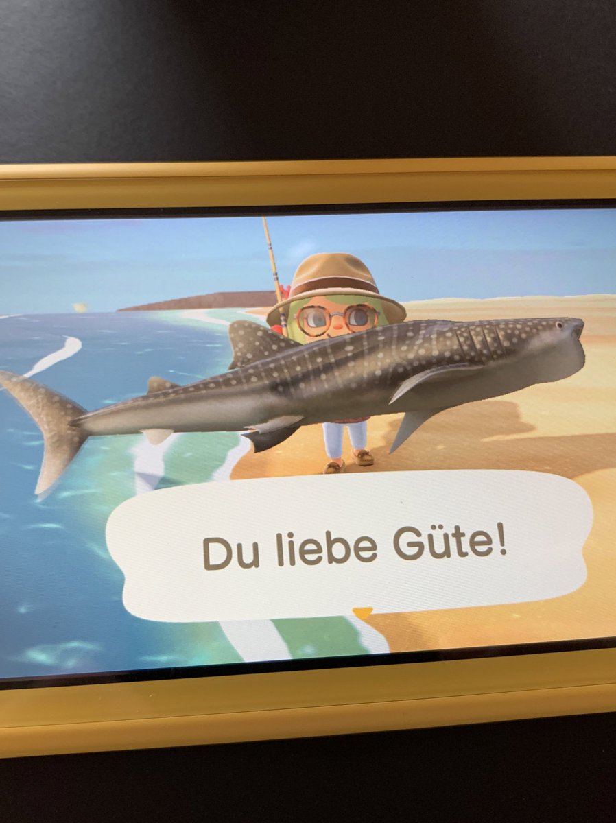 patrixiaschröterich tweet media
