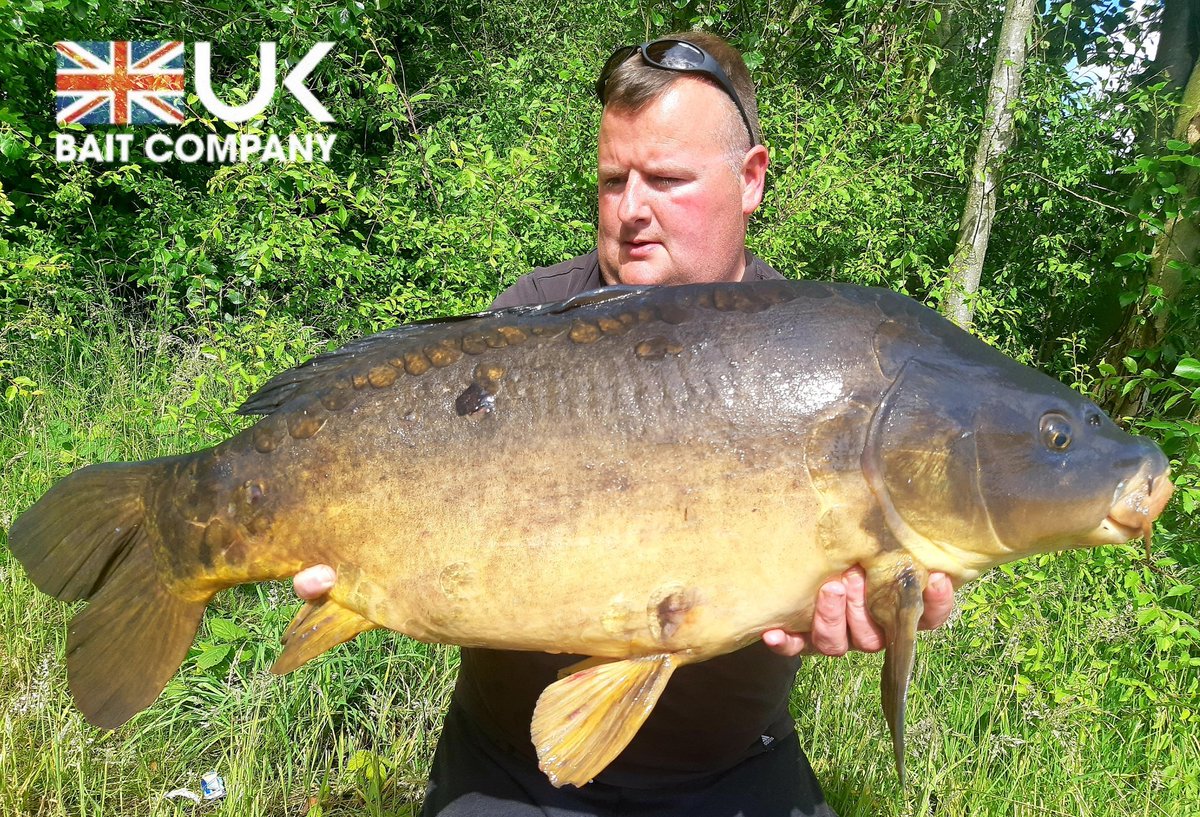 UKBaitCompany's tweet photo. Media consultant Gary Shaw did a 72 hour session on his local club lake landing afew fish topped of by this absolute cracker at 25.08. Gary fished pop-ups over chopped SA1 and particle to tempt all his fish ๐๐ฃ #UKBAITCOMPANY #SA1 #FIX8 #PRONUT #VIPPARTICLE #WHENQUALITYMATTERS https://t.co/bzIkT4qxqb
