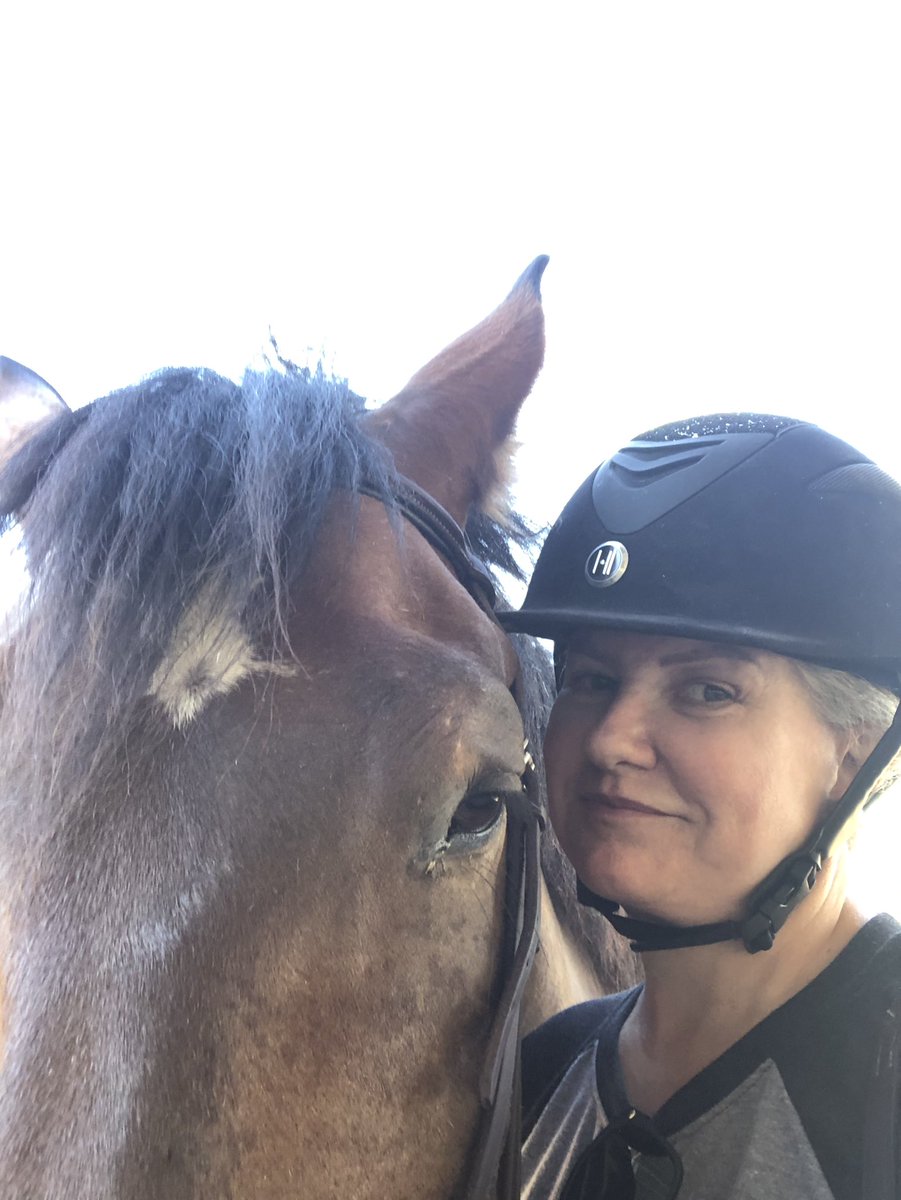 AnnEveDingell's tweet photo. I know I am biased but my Meatball is the kindest and handsomest boy. #ILoveBayButts #magnumthehorse #halfdraft #percheron #thoroughbred #bayhorses #bayhorsesofinstagram #hunterjumper #equestrian #equestrianlife #barn #englishriding https://t.co/nHHPedRgu4