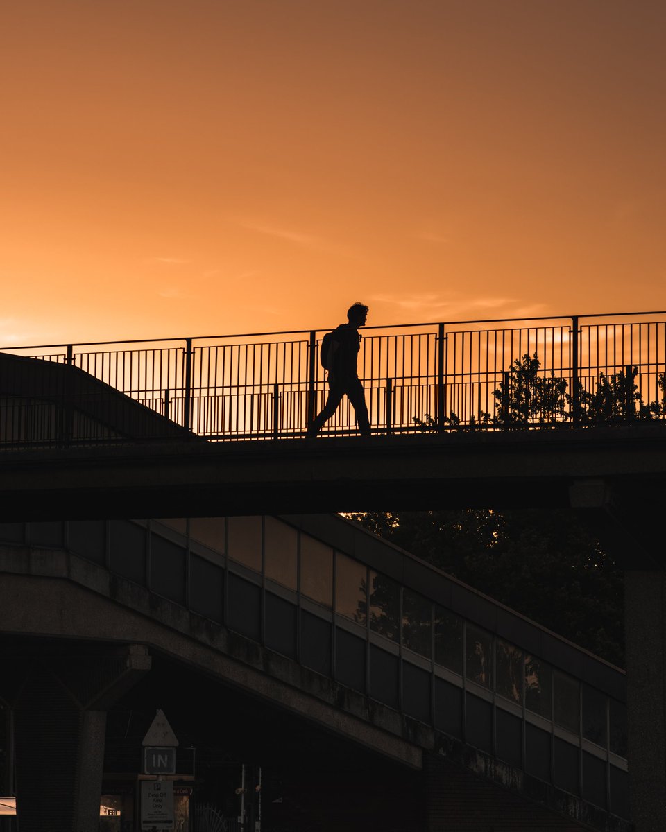 Alexander Howard tweet media