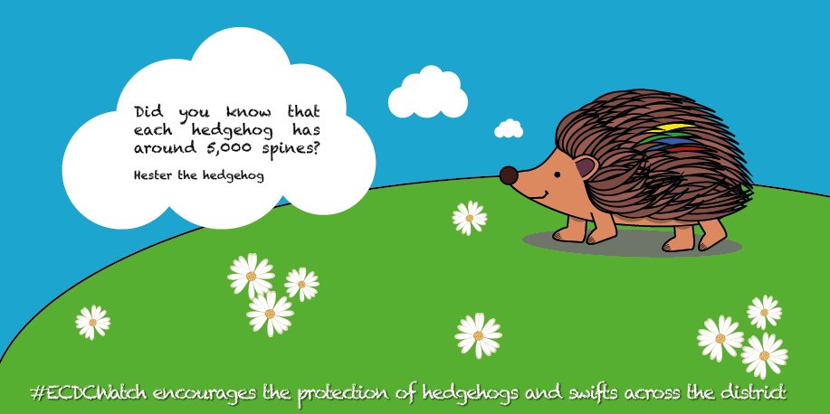 MikeLRecycle's tweet photo. Did you know that hedgehogs have around 5,000 spines each? #ThursdayThoughts #ECDCWatch https://t.co/Yeqkr6Xr6g
