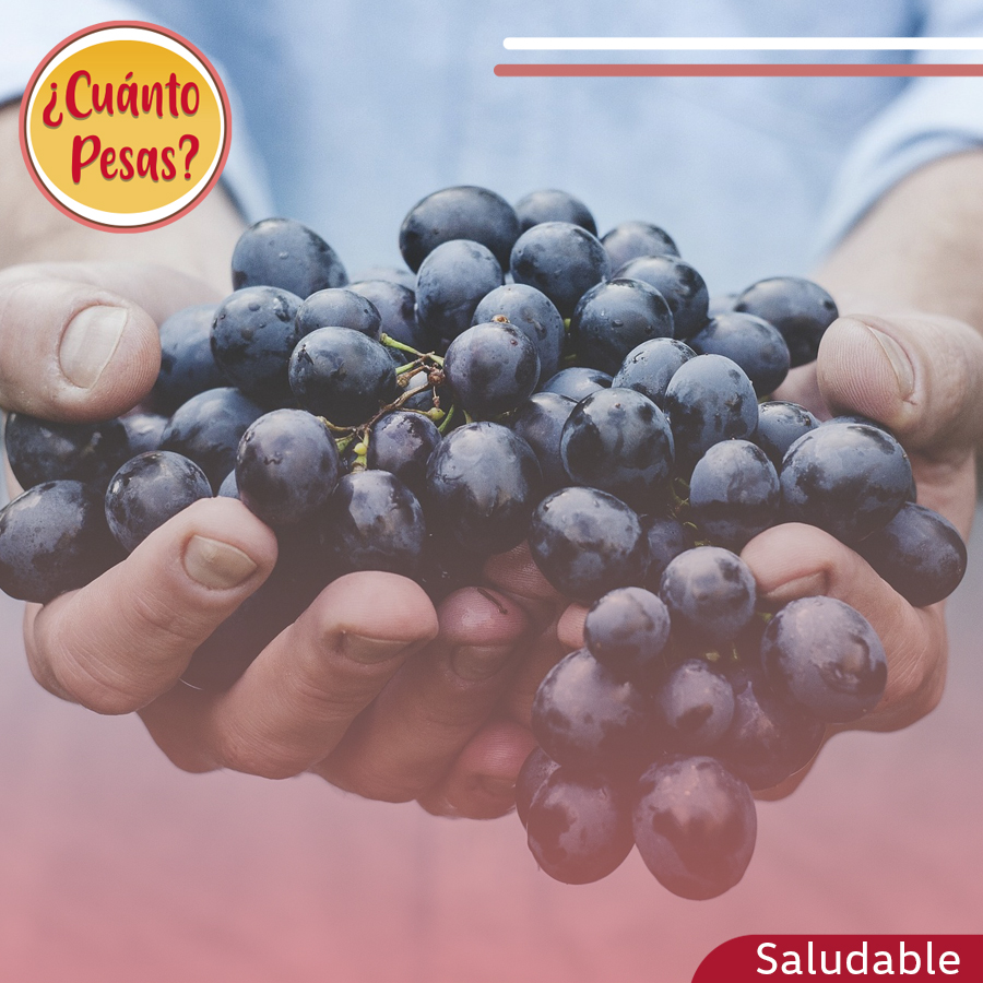 CuantoPesas's tweet photo. Comer de manera saludable nos ayudará a realmente #perderpeso. Es momento de dejar atrás todos los refrescos🥤, galletas🍪 y comidas procesadas🍕 que nos mantienen con exceso de peso. #CuántoPesas

📱WhatsApp 3316685380
🌐https://t.co/xwsBF5VeyT https://t.co/cTYhr4mmPq