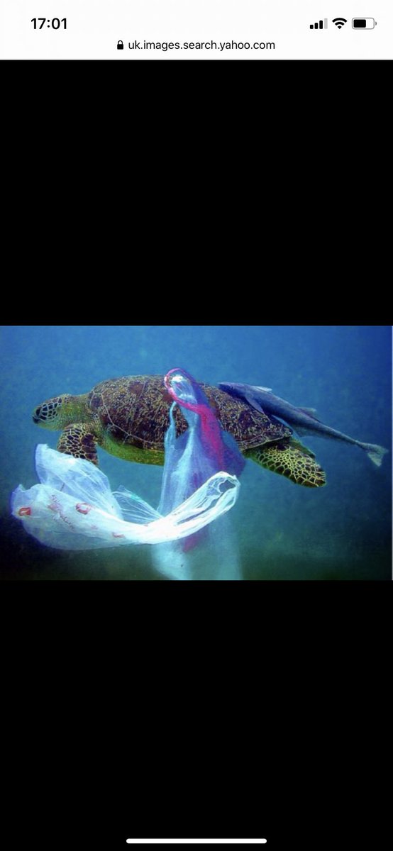 And here is what other parts of the ocean are polluted with. For more information check out the documentary/film “A plastic ocean” or a real eye opener is drowning in plastic produced by the BBC.