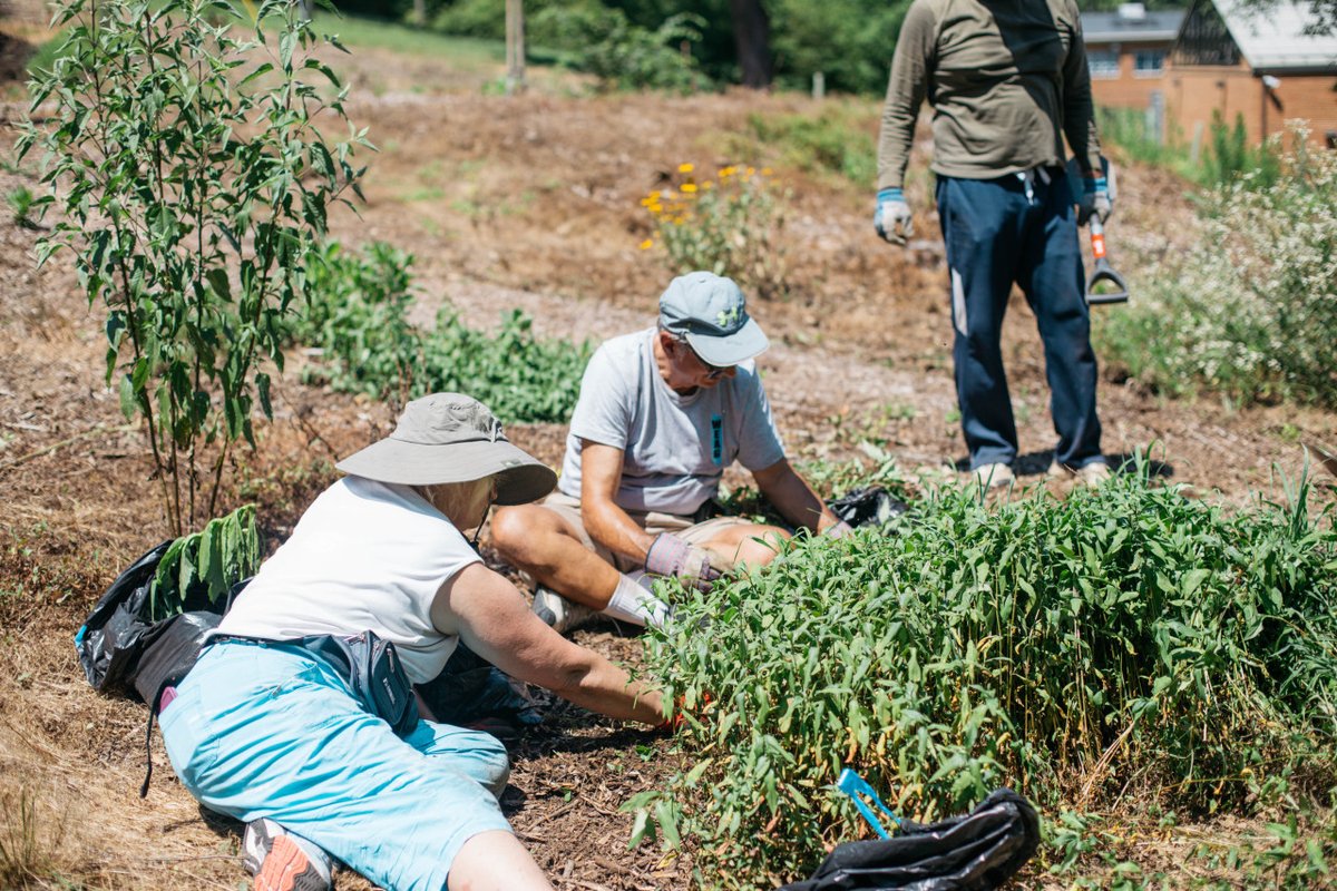 weagrva's tweet photo. Join us for Lift Up RVA on Fri, June 19, Sat, June 20, &amp; Tues, June 23 from 8:45 am – 3:30 pm at Bellemeade Park! LURVA is open to youth, adults &amp; families (children 12 &amp; under must work alongside a parent at all times). Get more information &amp; sign up at https://t.co/NsYMQV5O63! https://t.co/aExLjskaFO