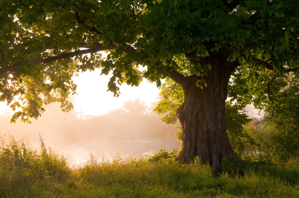 In order for us to best show up for ourselves, each other and the world right now, we need to be grounded and centered.

So today on my blog I'm sharing 7 ways to feel grounded. I hope this serves you 💛 

You can read it here: go.gabbybernstein.com/get-grounded