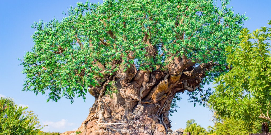 vacaywithmickey's tweet photo. Adventure awaits you in Disney’s Animal Kingdom! Embark on a virtual journey around Animal Kingdom to discover what experiences you won’t want to miss on your next trip. https://t.co/oe4BSV4F33
#WaltDisneyWorld #AnimalKingdom #VacationsWithMickey https://t.co/i6b7xXuAw9