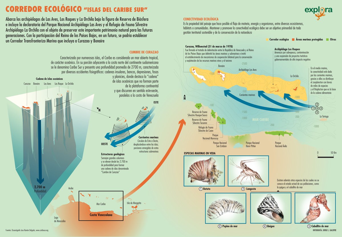 Hoy en el día #DíaMundialDeLosOcéanos #WorldOceansDay les regalamos estas infografías del Grupo #EXPLORA que se relacionan con nuestros Océanos.
Pueden ser descargadas en exploraprojects.com
#ConocerEsConservar