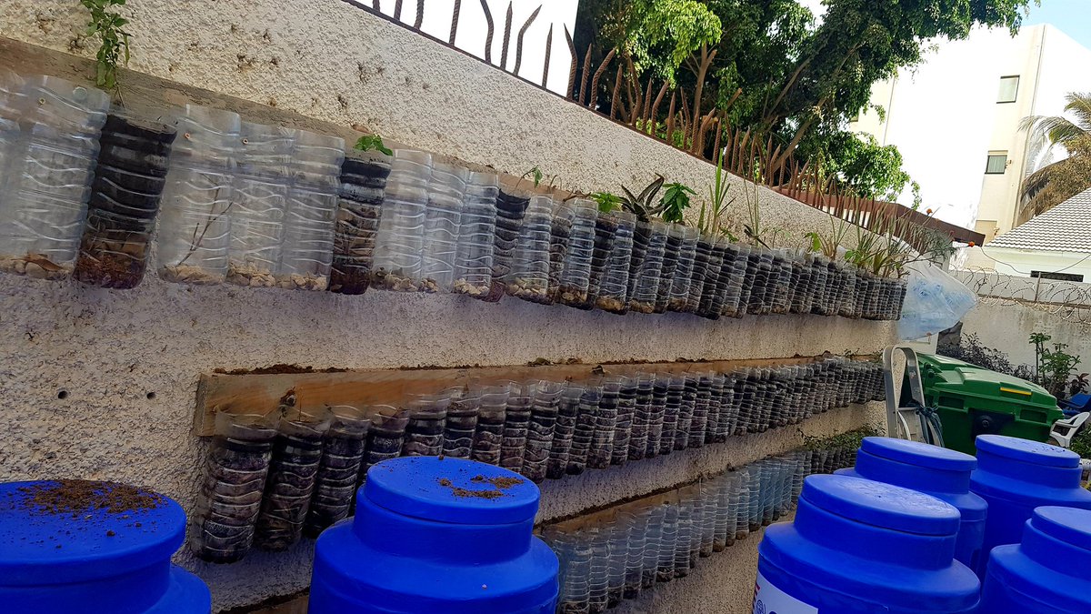 Les bouteilles du bureau récupérées pour faire un mur vert. <a href="/CampclimatSn/">Camp_Climat_Sn</a> @abdourami...