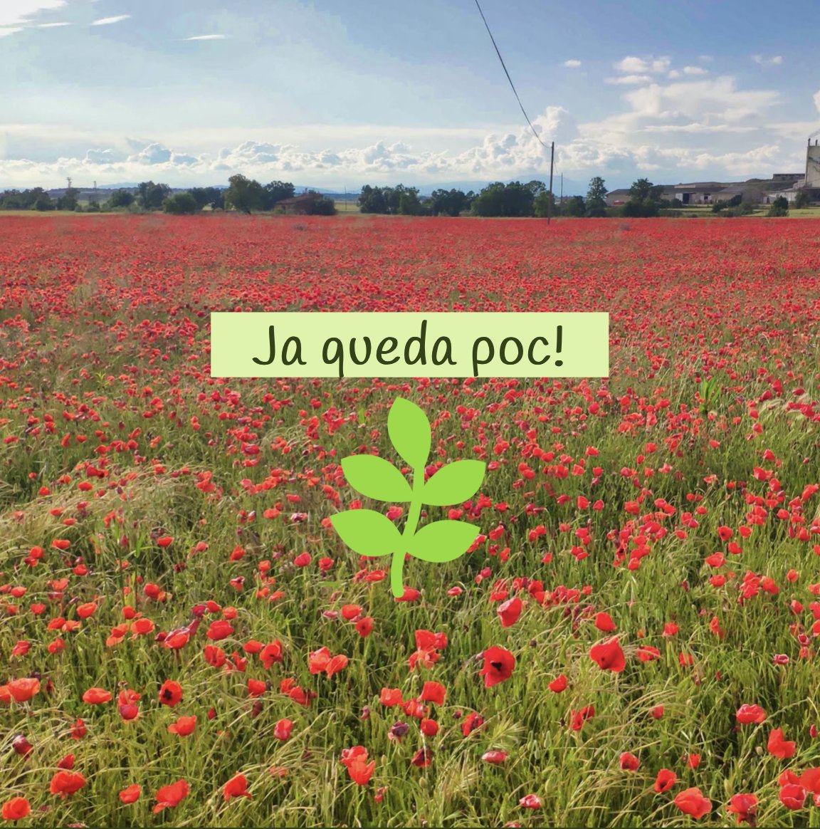 ProxiShop_cat's tweet photo. Estem treballant dia i nit 🌱

Hem passat ja a la següent fase en el #desenvolupament de ProxiShop i ja queda molt poc per acabar-la! 

Ens fa molta il.lusió! 💚

#confinament #ajudapagesos #pagesia #ramaderia #productelocal #agricultura #catalunya #lleida #girona #tarragona https://t.co/kOENqC1HUb