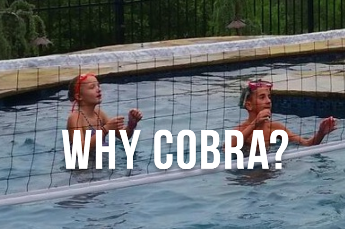 Designed by an avid volleyball player and tournament director, Cobra’s wire-free, portable volleyball systems empower athletes of all skill levels to play their hardest without fear of injury. No other net can mess with the Cobra, find out why here: cobravolleyball.com/why-cobra/