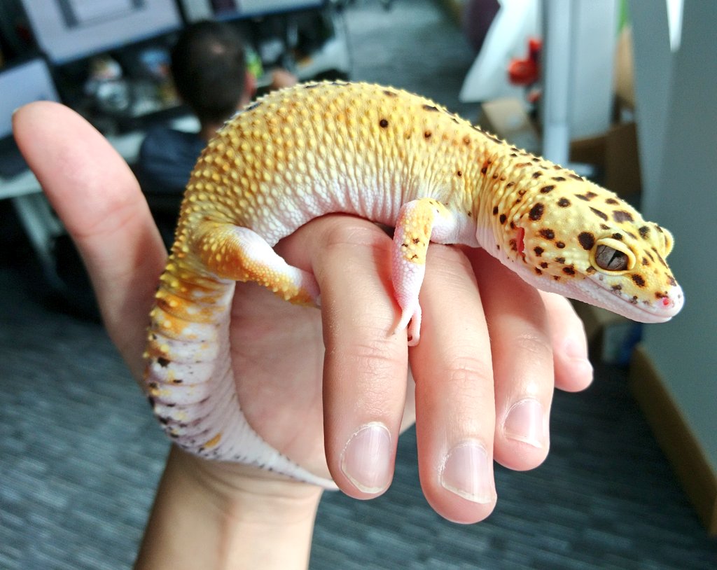 Nehara died unexpectedly today.
I am f*cking heartbroken.