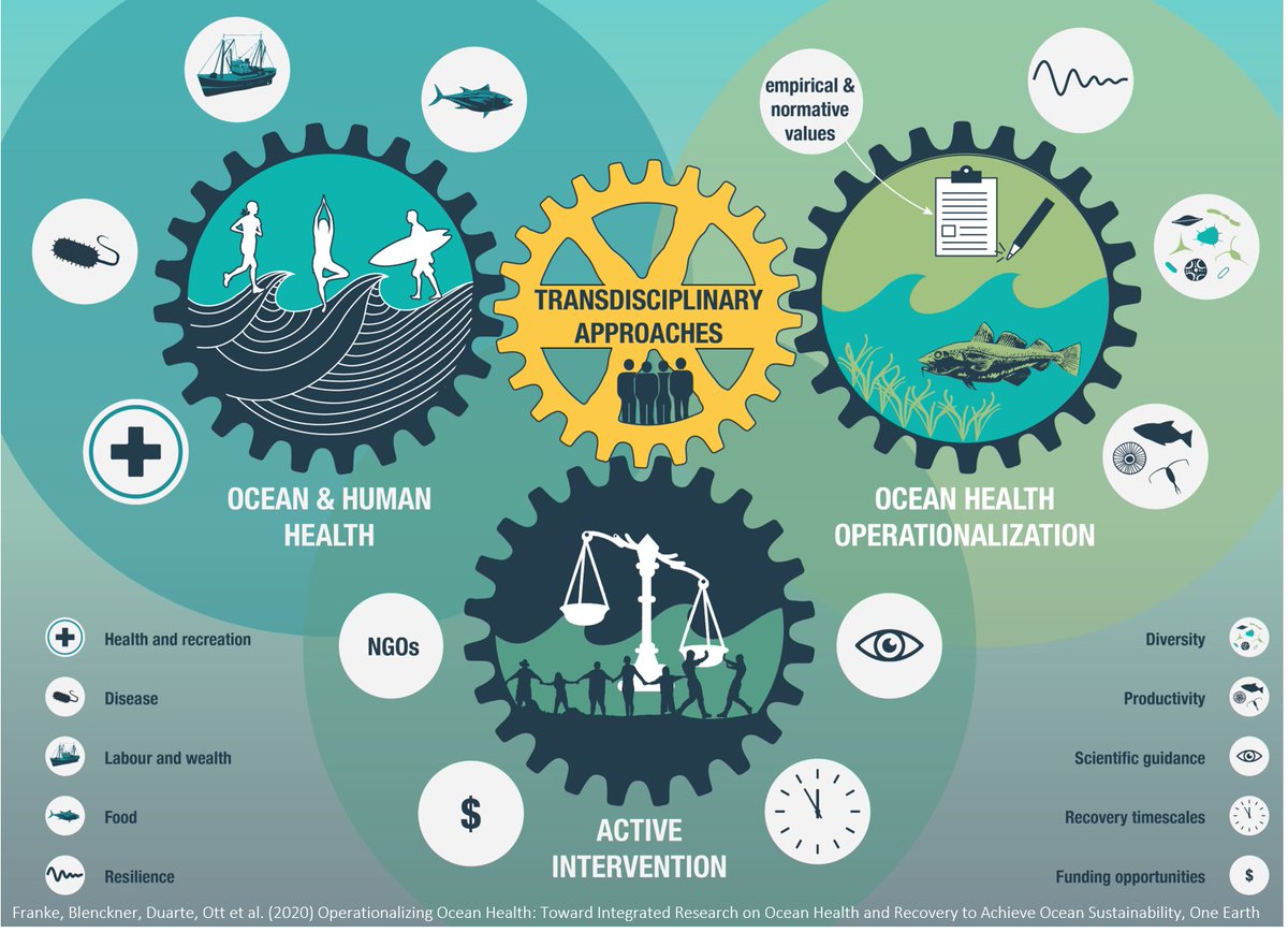 I couldn´t be any happier that our perspective paper on Operationalizing #OceanHealth to achieve #OceanSustainability was published @OneEarth_CP on #WorldOceansDay! It was a pleasure working with so many great  #interdisciplinary co-authors. @nopboard  cell.com/one-earth/full…