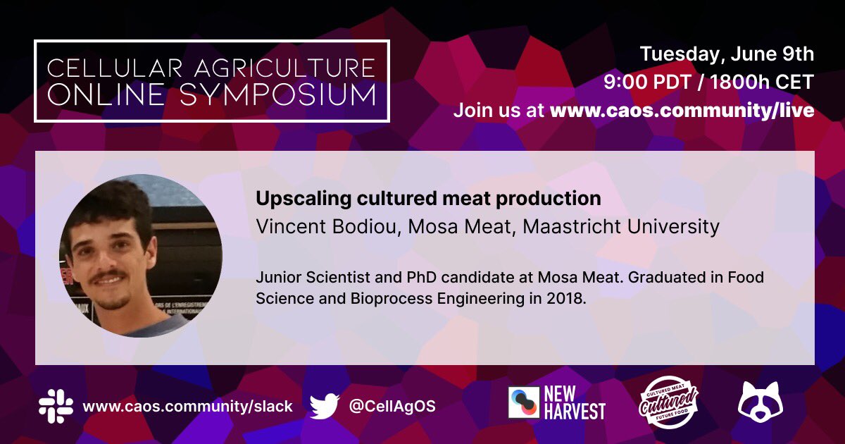 ISCCM11's tweet photo. Week 2 of #CAOS2020!
#Culturedmeat on a lab-scale is nice and all - but what do you need to actually go big?
Tune in tomorrow at 9am PST / 6pm CET when Vincent Bodiou of @mosa_meat presents his latest publication on #bioreactors and #microcarriers https://t.co/5JGuP5HLK5