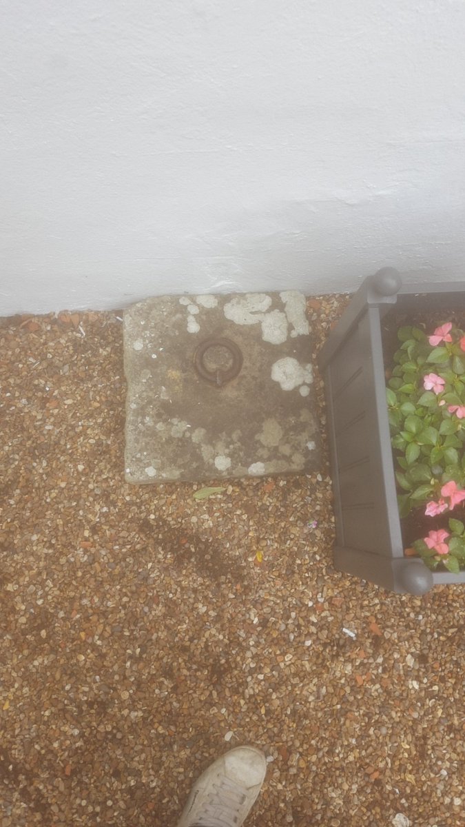 Anyone know what happens if I pull the plug out ?? #plug #pullitout