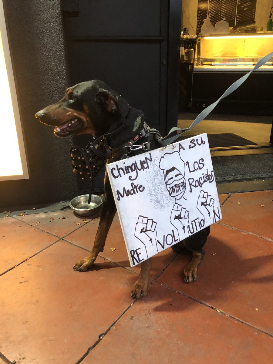 thread of very good dogs protesting for justice