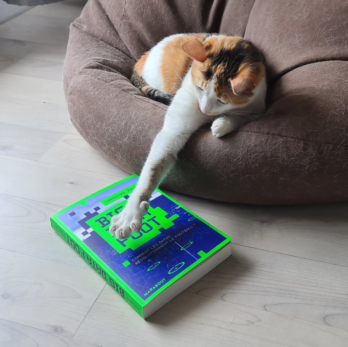 TalkMyFootball's tweet photo. Lecture du moment pour la Reine Bixby #BigDataFoot
https://t.co/pCAmq9n0sr https://t.co/SHnX7UWsQD