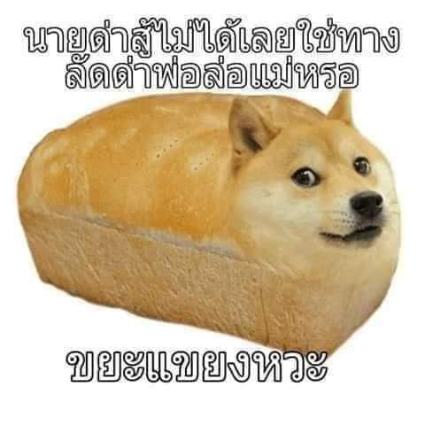 PattharakornK's tweet photo. @AltsXitol @S9VFM7iXXYCvRQ7 https://t.co/Rppd3283Jz