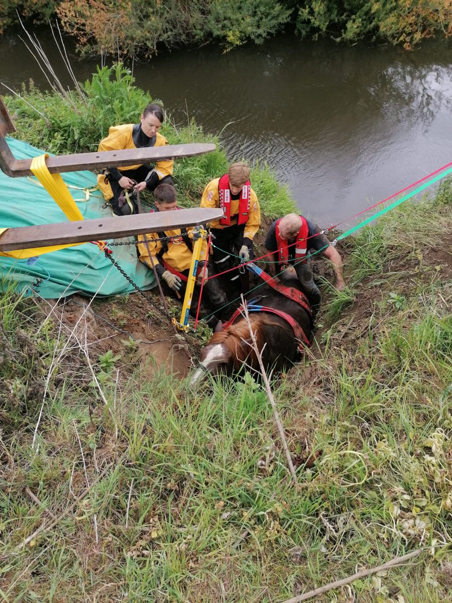 #Acomb & #Ripon crews have helped rescue a horse which had become stuck in mud at Nun Monkton nr York.
Specialist animal rescue equipment was used & the horse was reunited with its owner

@minsterfm 
@yorkpress 
@theyorkmix 
@BenMinsterFM