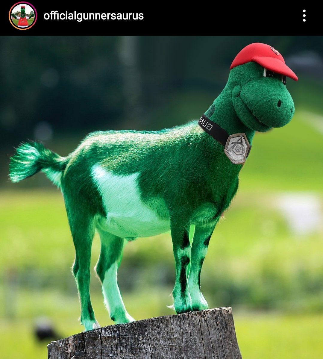 ArsenalAddict9's tweet photo. Your club's mascot could never... https://t.co/aJlzcK4K2p