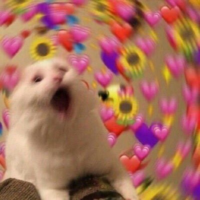 รับส่งจดหมาย 💌🕊 | ส่ง 17:00-22:00 tweet media