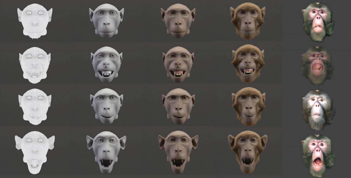 Monkeys can overcome aversion to animated monkey faces in the "uncanny valley" through a more realistic avatar, according to new #eNeuro research from <a href="/uni_tue/">Universität Tübingen</a>.

How new research into the uncanny valley effect can help improve studies of social behavior: eneuro.org/lookup/DOI/10.…