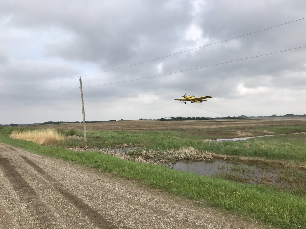 Ron Krahn tweet media