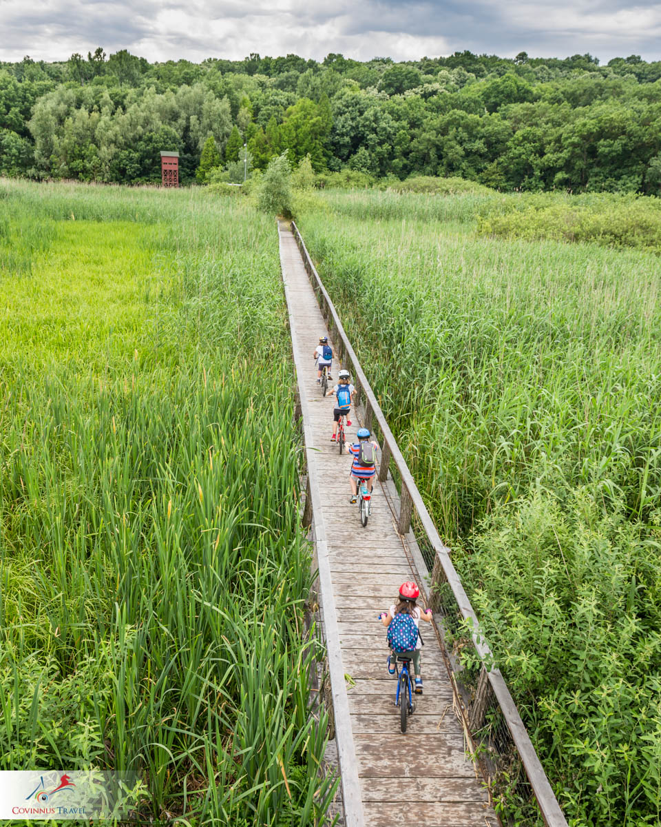 covinnus's tweet photo. Join our half-day #cycling #tours outside of #Bucharest and enjoy the wonders of a small delta, a beautiful forest and the outdoor activity. #Romania #travel #biketours #bicycle #nature #toursofRomania https://t.co/MLqDD2fkcO