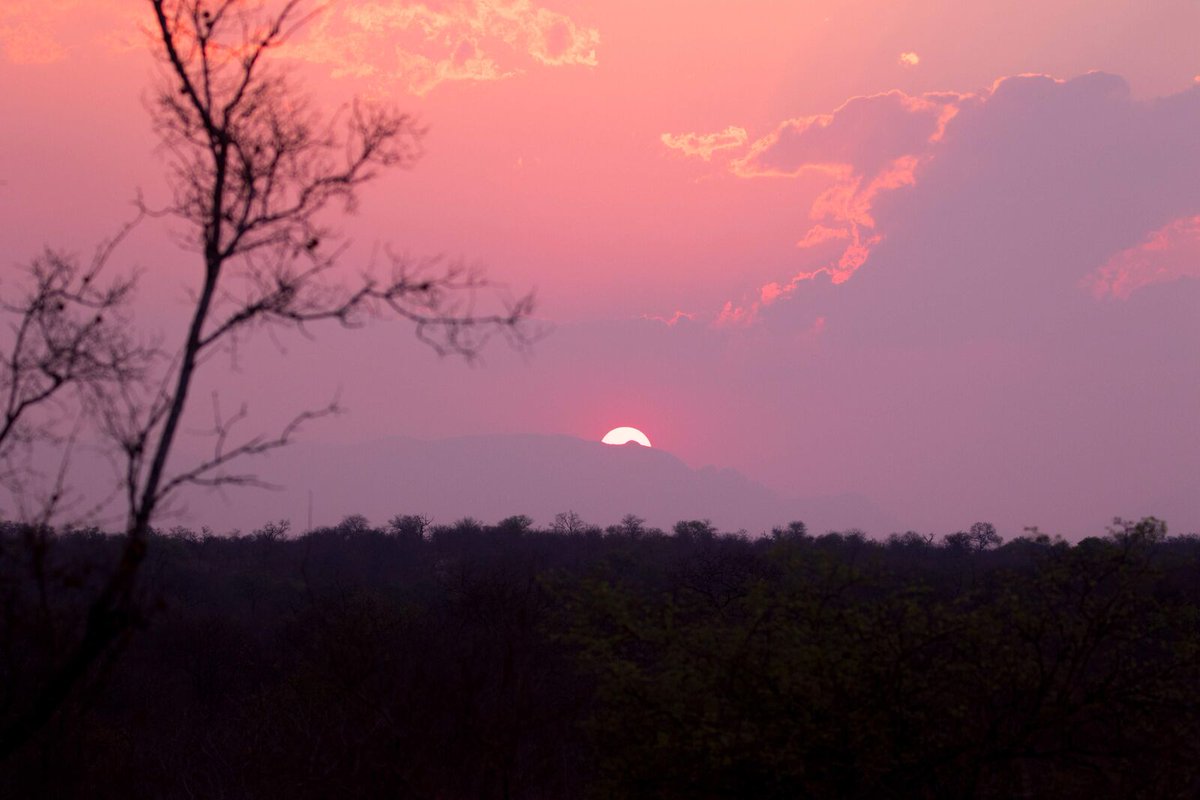 #SouthAfrica is travel ready &amp; #TourismStrong ! So ignore those rumours 🧐

"Reports that SA’s international tourism will only reopen in 2021 are premature as SA’s Risk-Adjusted Strategy is based on levels of lockdown not dates" - SATSA

telegraph.co.uk/travel/news/so…

📷 Sophie Barrett