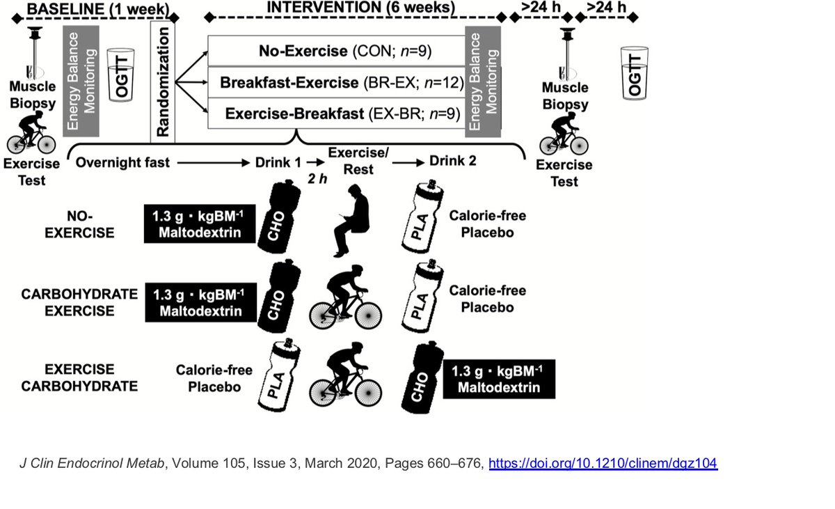 mackenzie_dr's tweet image. Please feel free to join me with @gareth_wallis talk about all  glucose metabolism in exercise @UniofOxford @UniNorthants @Cambridge_Uni @GarvanInstitute @NEXSKU @PENRGUStir @KingsSEMSoc @LJMUNutrition @RoehamptonUni @NutrExPhysMMU @LouiseMBurke @UBSportExR #ExerciseNutrition
