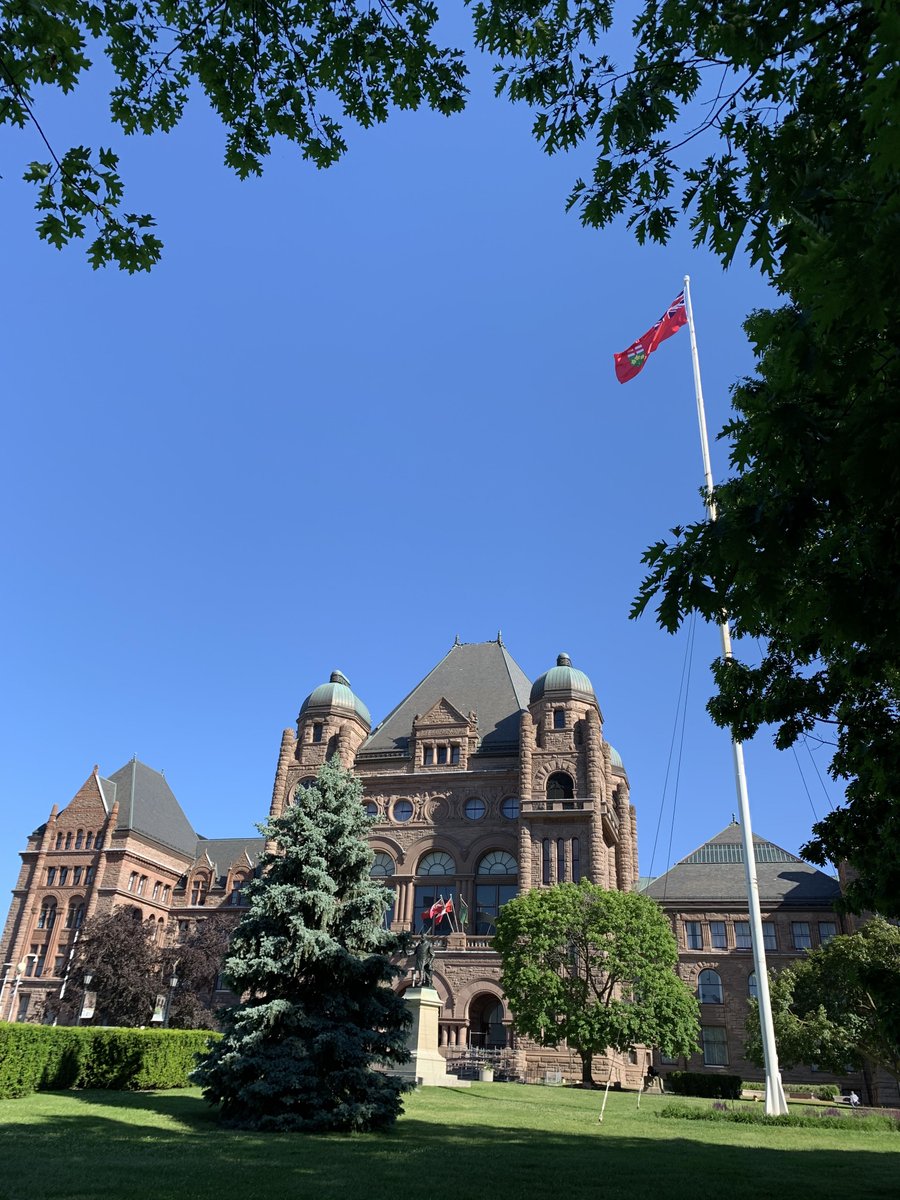 Kadie Ward tweet media