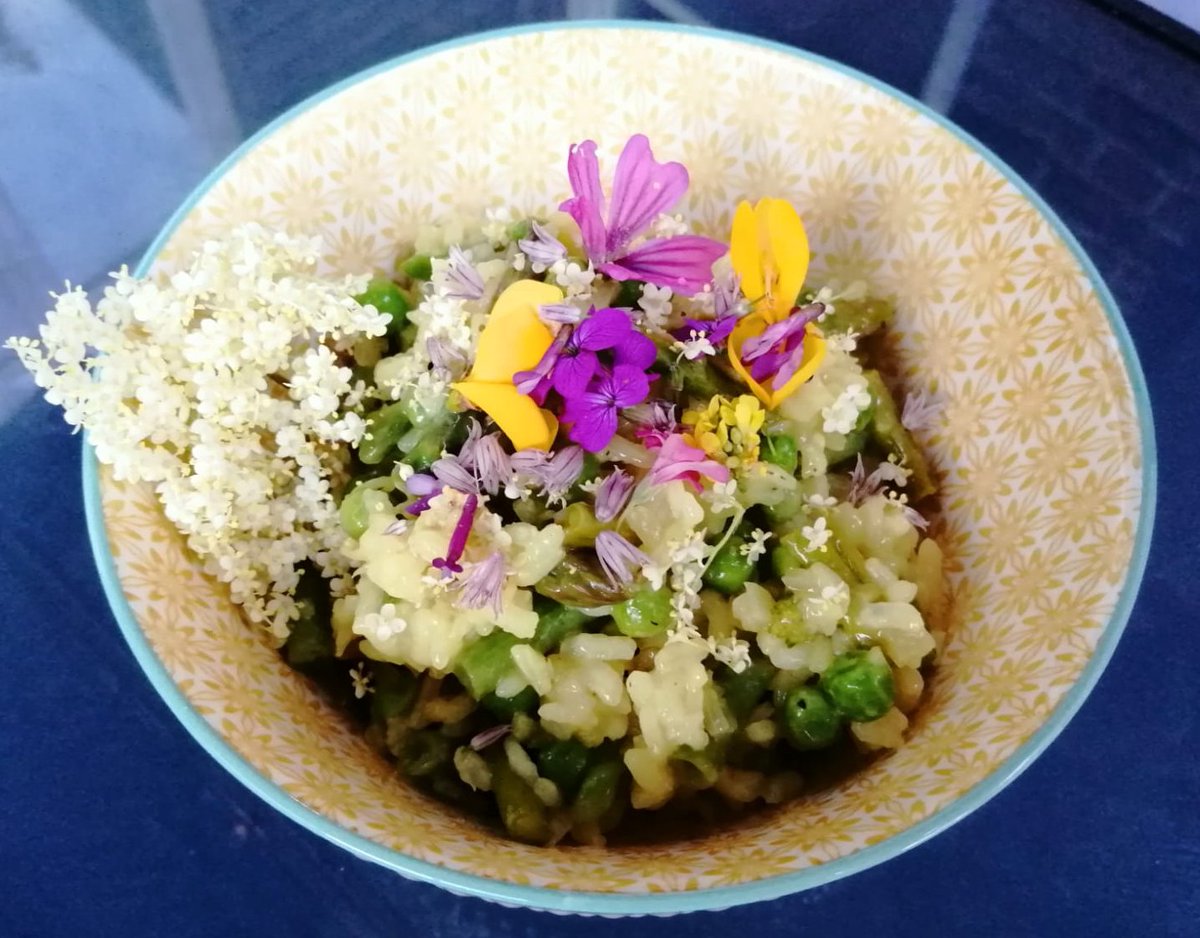 Elderflowers are always thought of as an ingredient for desserts, however Hannah has created this savoury Elderflower, pea and asparagus Risotto which is delightful.
Find the full recipe here: totallywilduk.co.uk/2020/05/27/eld…
Insta link in bio