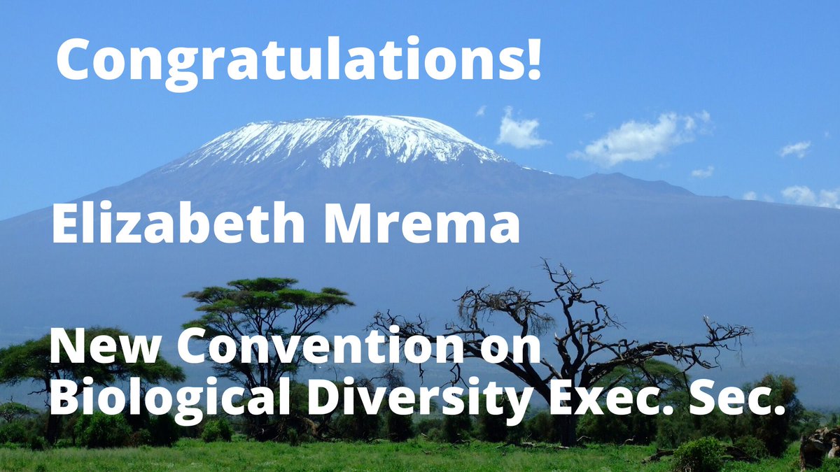 IPBES's tweet photo. Congratulations to new @UNBiodiversity Executive Secretary Elizabeth Mrema!

@MremaE was appointed today by @UN Secretary General @AntonioGuterres, after having been part of the @UNEP family since 1994 and most recently serving as Acting CBD Exec. Sec.

#Biodiversity2020 https://t.co/g4QjzOV3Xn