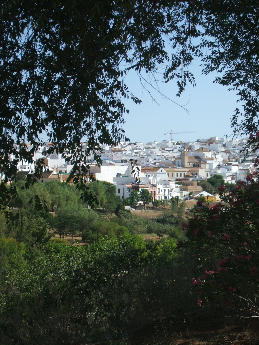 ACFDELSOL's tweet photo. Concurso Fotográfico "Parque de la Muela".

Concurso Fotográfico
¡Disfruta del Parque de la Muela e inmortaliza su belleza con tu cámara!
¡No te quedes sin participar!
¡Tienes hasta el 14 de junio!
Puedes consultar las bases en:
https://t.co/qtdCHCxawV

#Fuente de la Muela https://t.co/u9zNy3zEFx