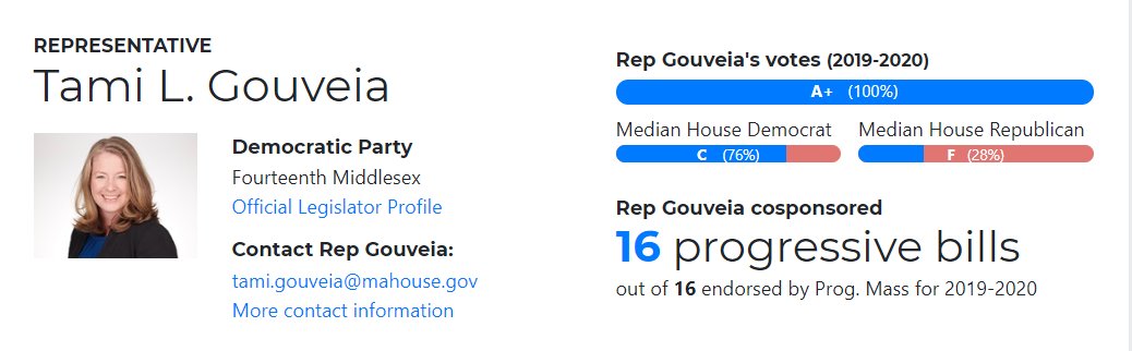 TamiGouveiaMA's tweet photo. I am proud to serve the people of #14thMiddlesex in the MA legislature. I look forward to continuing the fight for affordable healthcare, government transparency and many other common sense policies. #MApoli
Learn more here --> https://t.co/Cz8hSpOEW2 https://t.co/ioaKmjB8s9