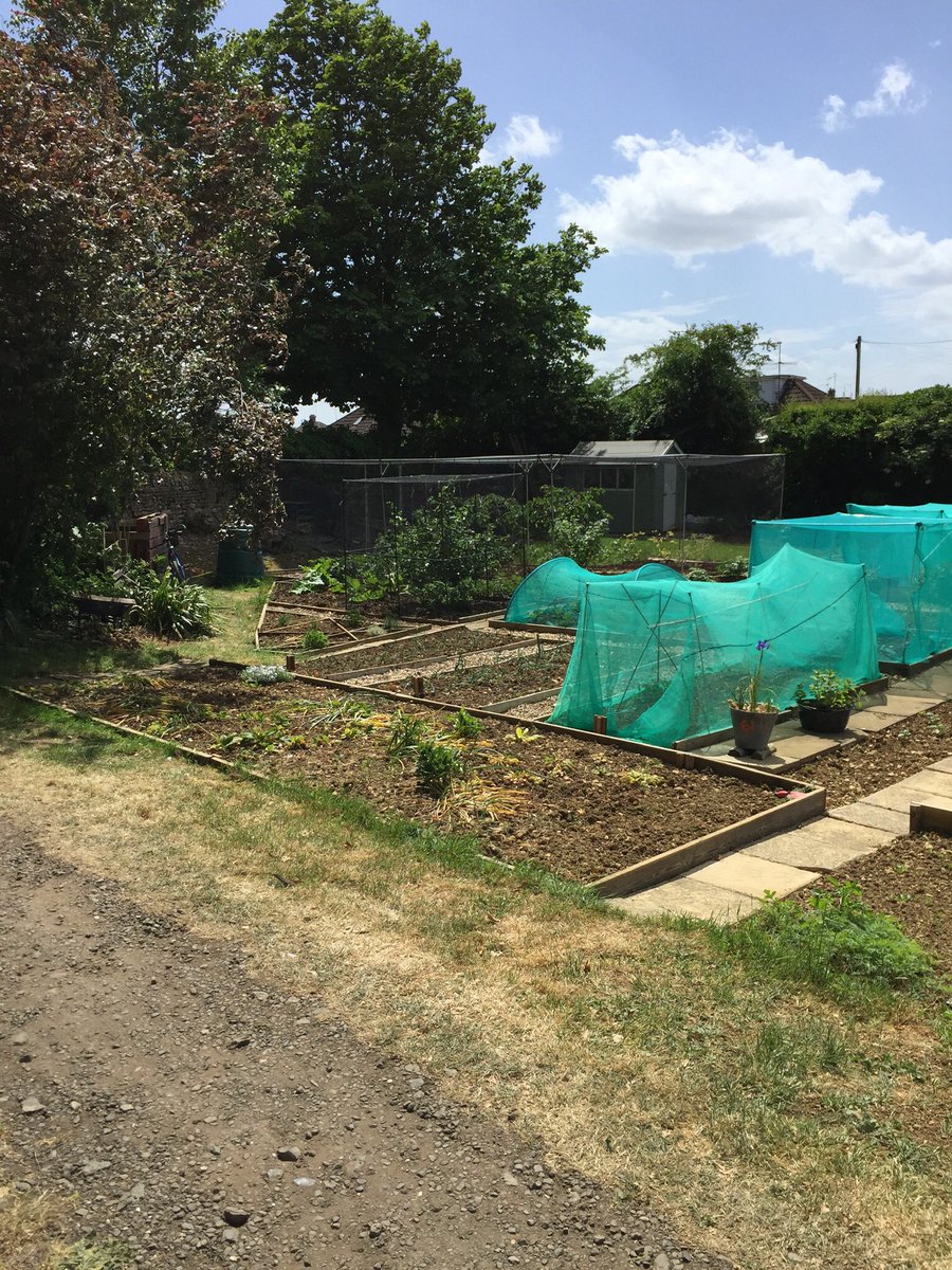 davidwalsh57's tweet photo. It’s good to occasionally look back at what we’ve achieved. #allotment Aug 2016-May 2020. Very proud of @mjuliewalsh for all her hard work and the encouragement she’s given me. https://t.co/3hUPx8WNri