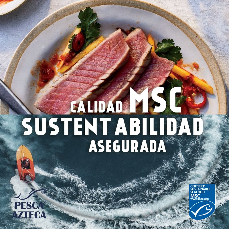 azteca_pesca's tweet photo. En Pesca Azteca utilizamos parámetros que garantizan el cumplimiento de procesos sustentables en nuestras actividades, y así salvaguardar tanto la vida de las especies marinas como la de los pescadores en el mar #MarineStewardshipCouncil #WorldOceanDay #SustainableFishing https://t.co/kpCf69kp2u