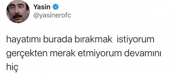 MOOD (@w3mood) on Twitter photo 