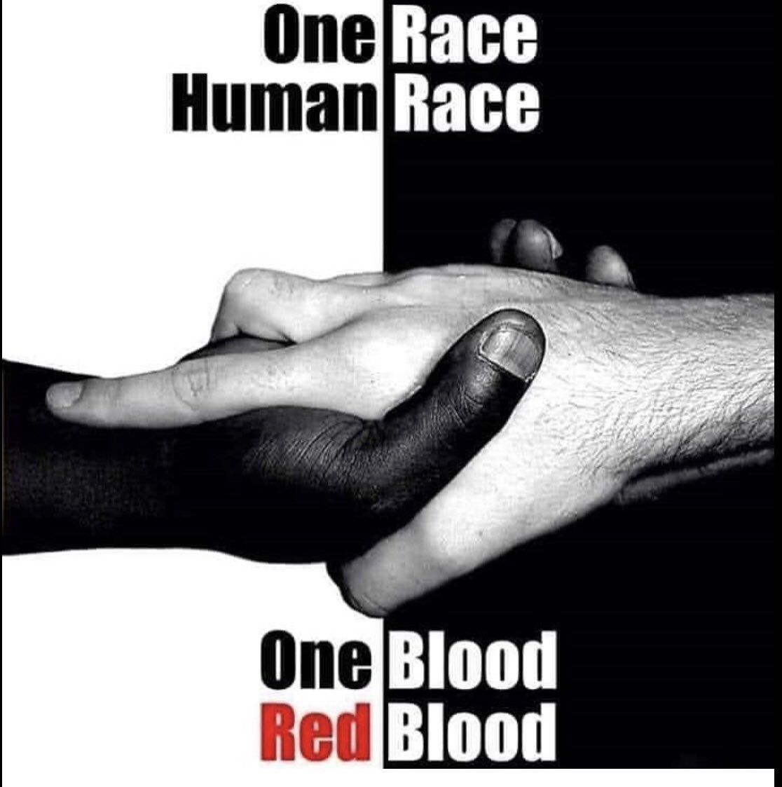 examples of human race