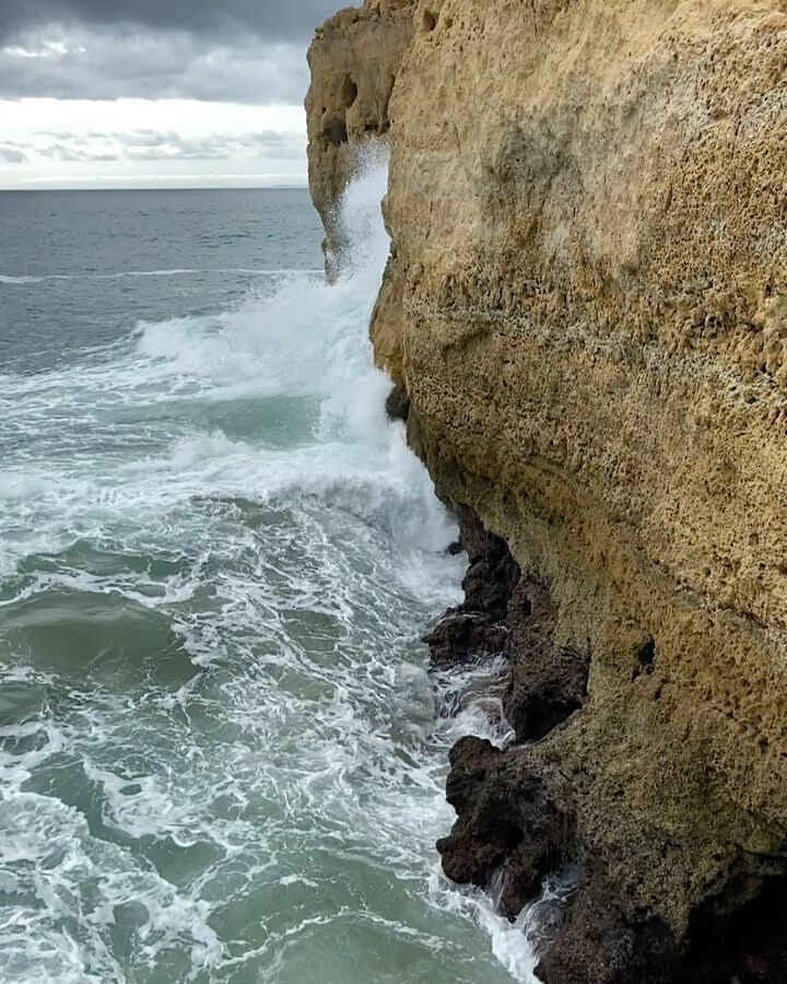 aennorbleu's tweet photo. “We are able to breathe because we are the external lungs of the sea”
from ‘The Kinship of Tides’ by Elizabeth A. Povinelli in ‘Tidalectics: Imagining an Ocean Worldview through Art and Science’ edited by Stefanie Hessler @steffihessler
#worldoceansday 🌊 https://t.co/z90MVRihEq https://t.co/G94CNTvxpj