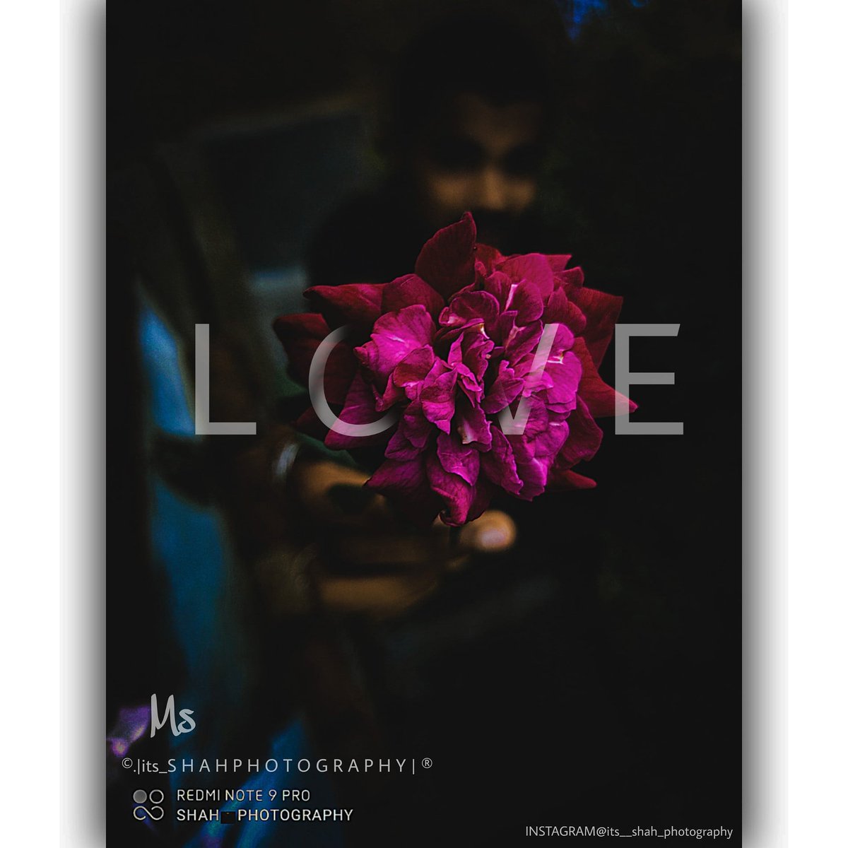 its__shah__'s tweet photo. ITS NOT JUsT A FLOWER ITS ALL ABT BEAUTY OF LOVE ❤ 
#Viral #photography #mobilephotography #Dharwad  @AGarlandPhoto @googlephotos @Photo @digitalps https://t.co/qAiZ9qJoDt