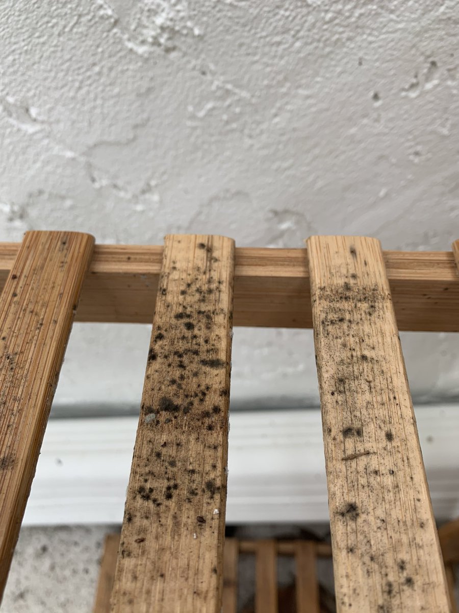 a_WildFlower's tweet photo. @Wayfair https://t.co/rasyZoCafH