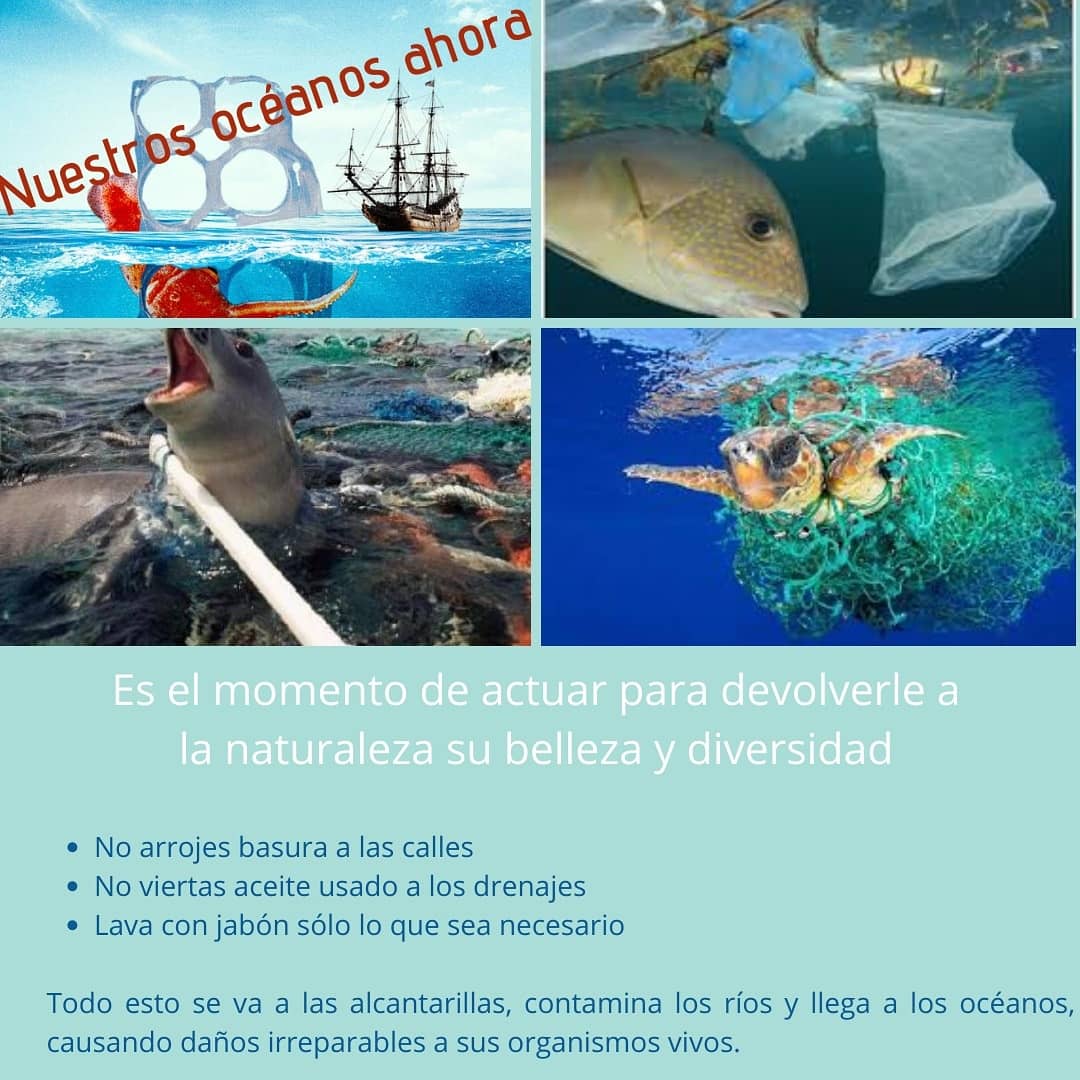 RedVColombia's tweet photo. Hagamos de todos los días el Día de la Naturaleza. La solución está en nuestras manos.
#diamundialdelosoceanos 
#DiaMundialDeloceano 
#DíaMundialDeLosOcéanos https://t.co/sYFbTKvmXm
