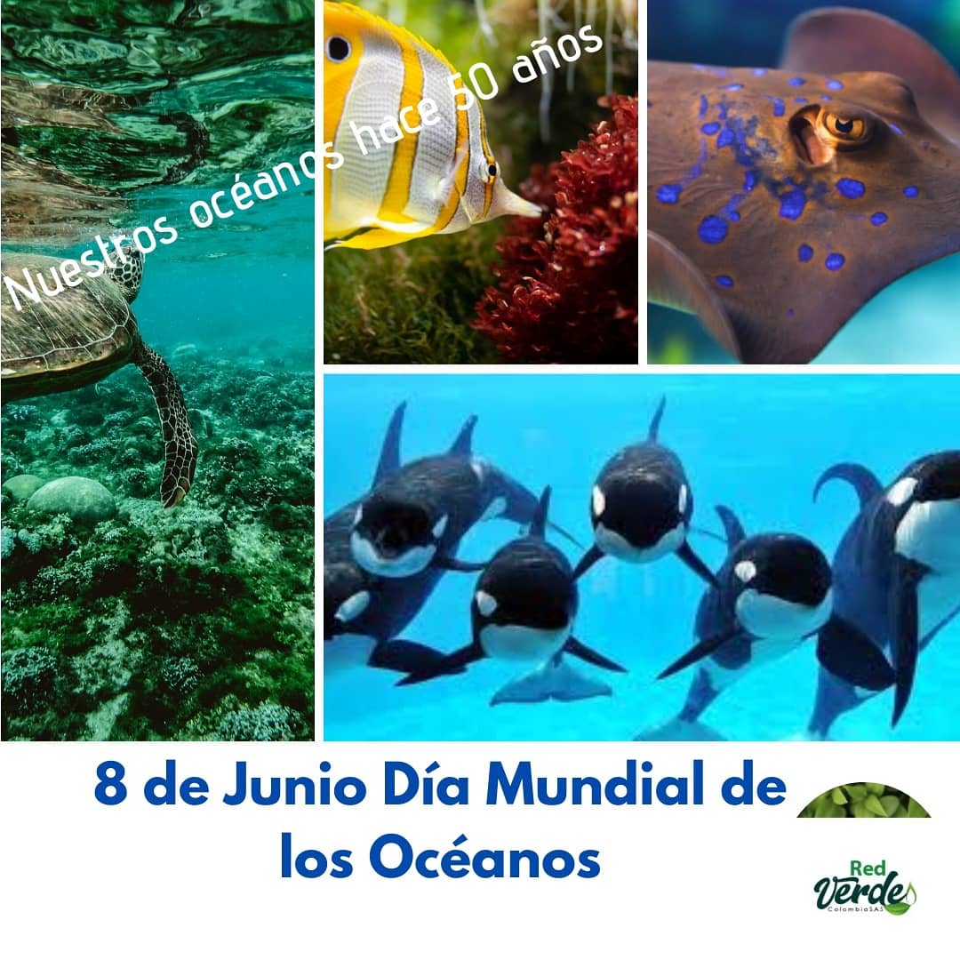 RedVColombia's tweet photo. Hagamos de todos los días el Día de la Naturaleza. La solución está en nuestras manos.
#diamundialdelosoceanos 
#DiaMundialDeloceano 
#DíaMundialDeLosOcéanos https://t.co/sYFbTKvmXm