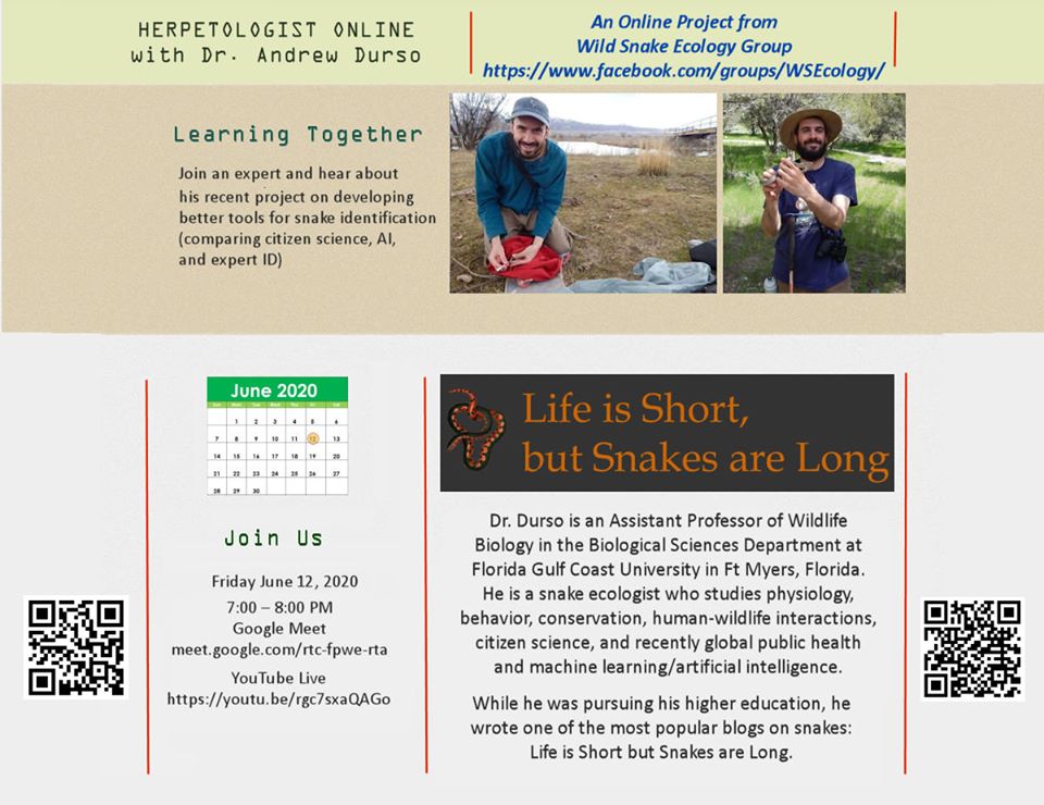Andrew Durso (@am_durso) on Twitter photo I'm giving a virtual talk Friday (19:00-20:00 US EDT) as part of a series on Wild Snake Ecology about my research in snake ecology in general & presenting the results of experiments on snake identification, in which many of you participated! meet.google.com/rtc-fpwe-rta I'm giving a virtual talk Friday (19:00-20:00 US EDT) as part of a series on Wild Snake Ecology about my research in snake ecology in general & presenting the results of experiments on snake identification, in which many of you participated! meet.google.com/rtc-fpwe-rta