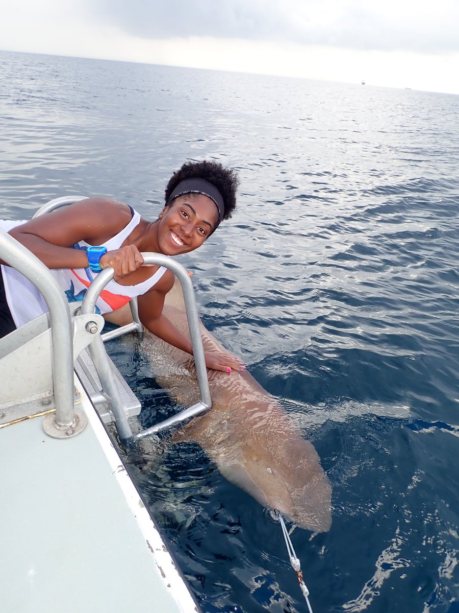 carleejackson__'s tweet photo. In honor of #WorldOceansDay, and since I’ve gotten a TON of new followers over the past week:
Hey y’all! My name is Carlee and I’m a self proclaimed Black Mermaid grad student studying sharks and sea turtles in SoFlo 🧜🏾‍♀️
Here’s a few pics of me and my fave sea critters https://t.co/vPKkKR1Meo