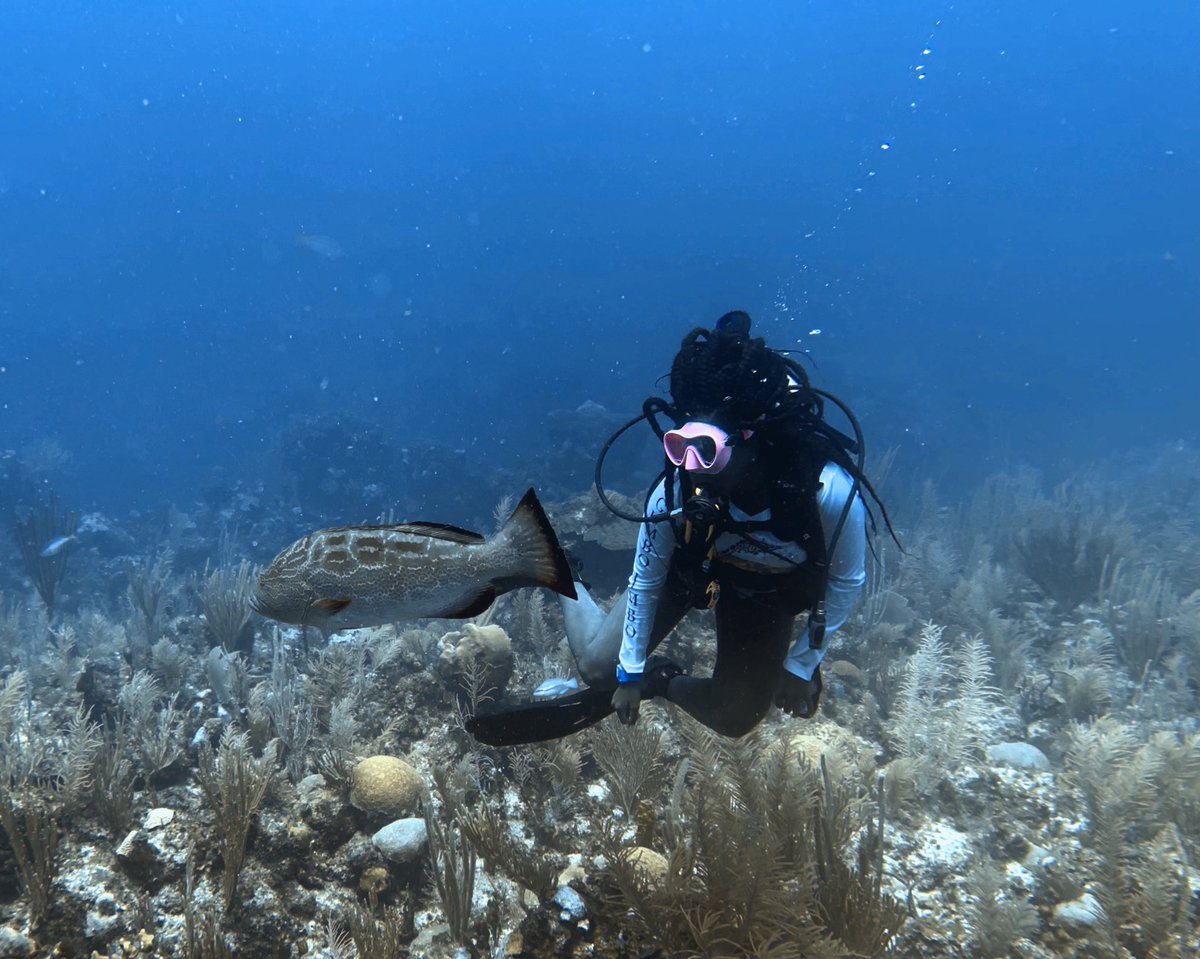carleejackson__'s tweet photo. In honor of #WorldOceansDay, and since I’ve gotten a TON of new followers over the past week:
Hey y’all! My name is Carlee and I’m a self proclaimed Black Mermaid grad student studying sharks and sea turtles in SoFlo 🧜🏾‍♀️
Here’s a few pics of me and my fave sea critters https://t.co/vPKkKR1Meo