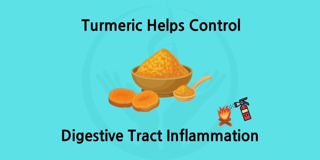 Scientific studies show that #Turmeric helps control #dygestive tract #inflammation 
Read more in the published study: ncbi.nlm.nih.gov/pmc/articles/P…