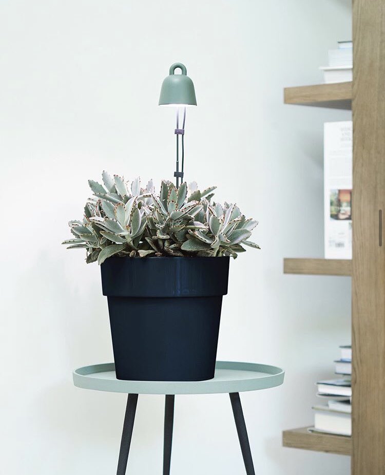 easy_agency's tweet photo. Brighten up your plants and Monday mood with Elho’s gorgeous light care product- specifically designed to help your plants in dark corners grow and flourish 💡 We hope everyone is continuing to stay safe, sending lots of love 💚 https://t.co/0zbC62Wvac