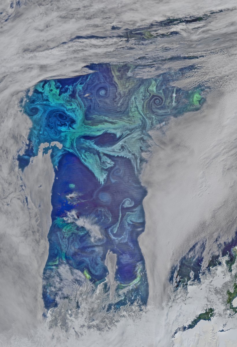 NASAEarth tweet picture
